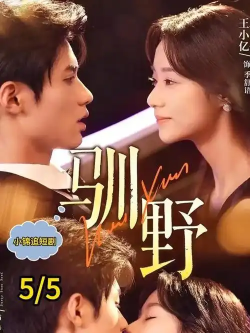 剧集标本《汉江邮差》的档案封面